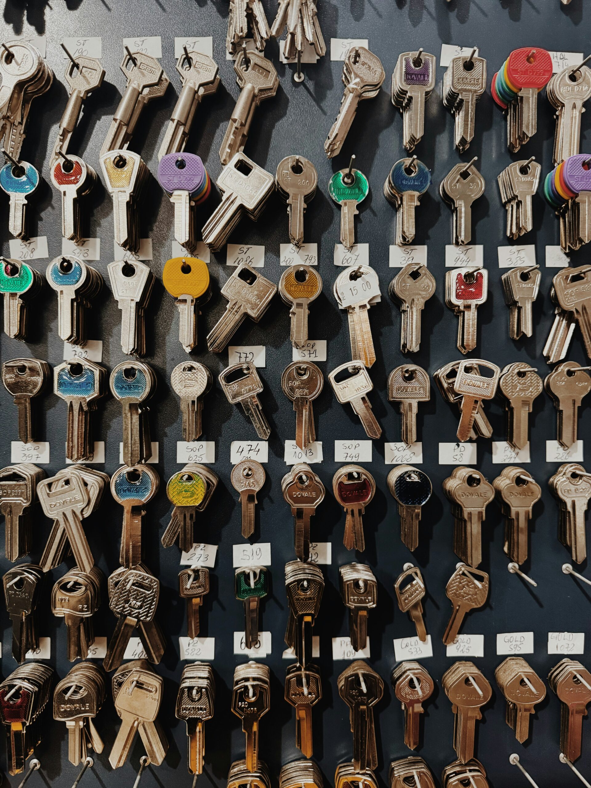 andrei castanha Jy60hQjoFbc unsplash